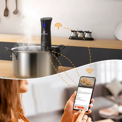 Thermoplongeur TH400 | Wifi